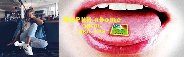 гашик Козельск