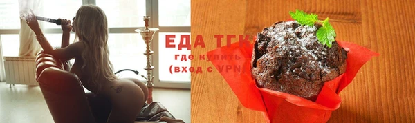 гашик Козельск