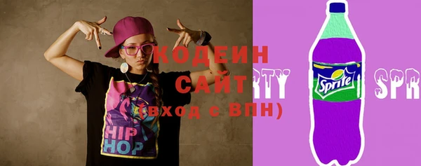 apvp Кодинск