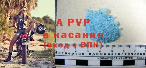 гашик Козельск