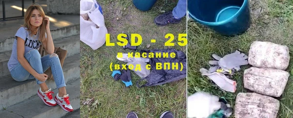 гашик Козельск