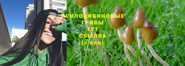 apvp Кодинск