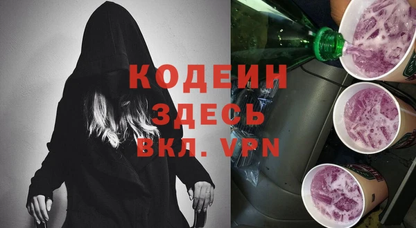 гашик Козельск