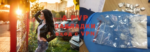 гашик Козельск