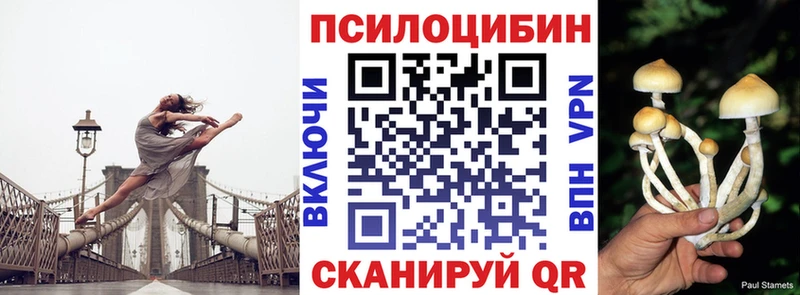 Купить закладки  Дрезна  Псилоцибиновые грибы мицелий 